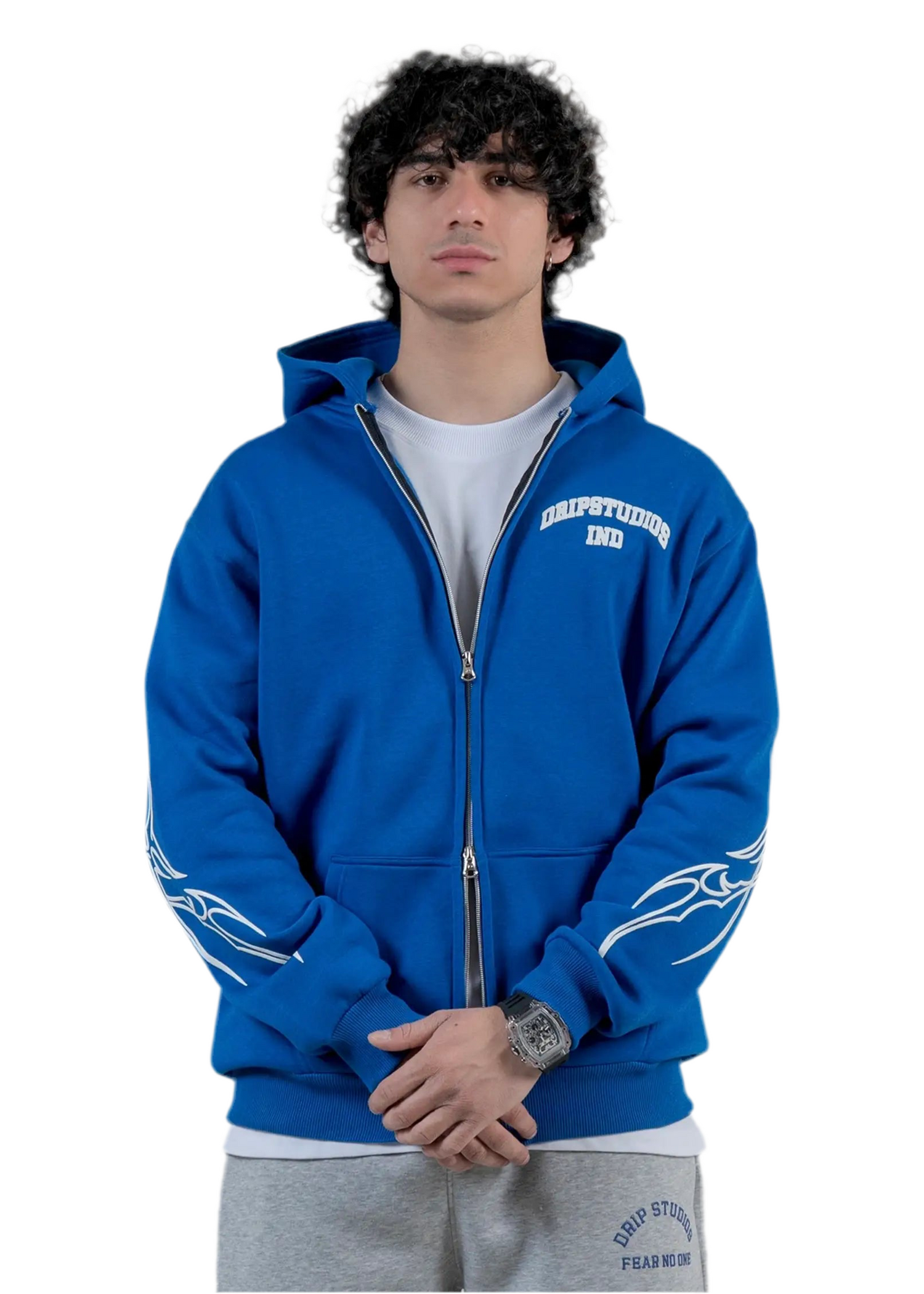 VENI VIDI VICI HOODIE
