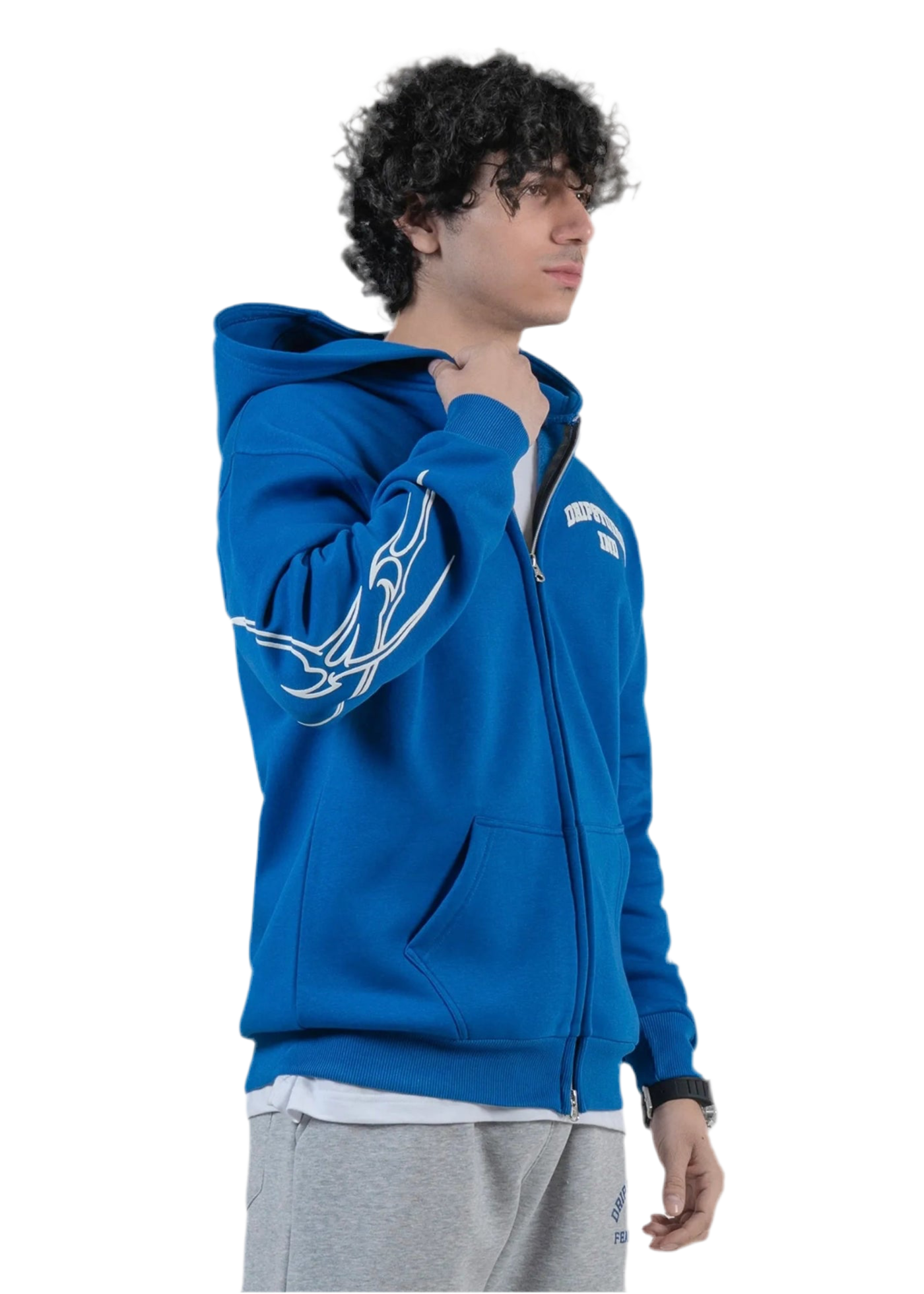 VENI VIDI VICI HOODIE