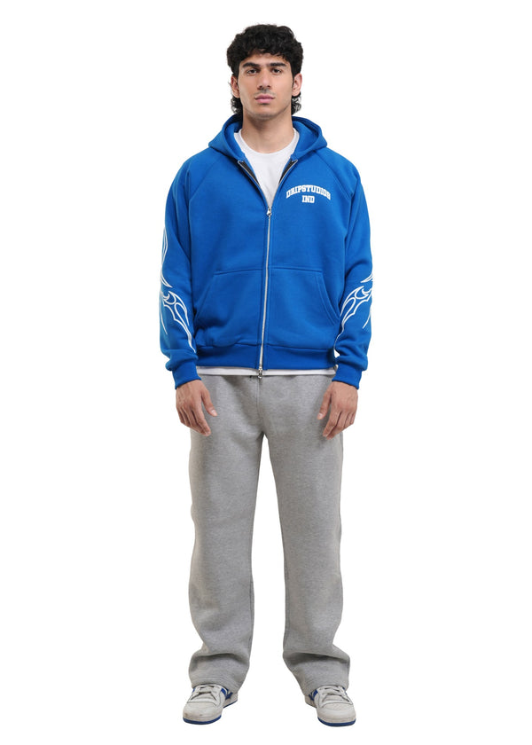VENI VIDI VICI HOODIE