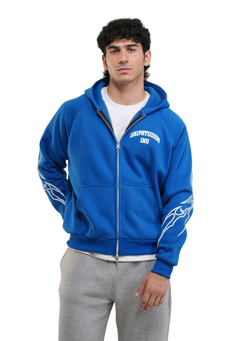 VENI VIDI VICI HOODIE