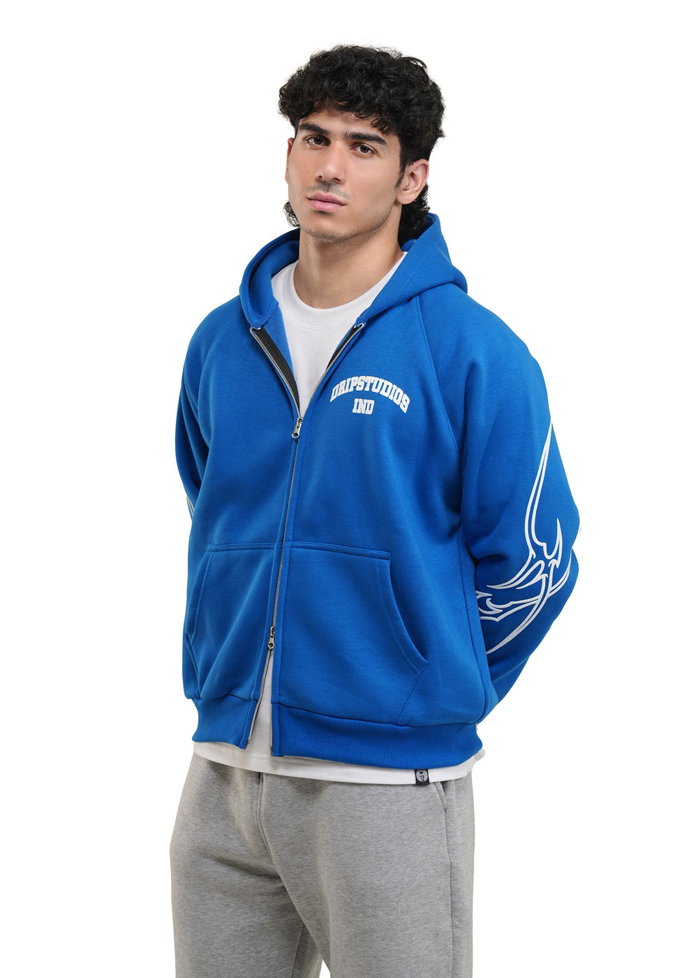 VENI VIDI VICI HOODIE