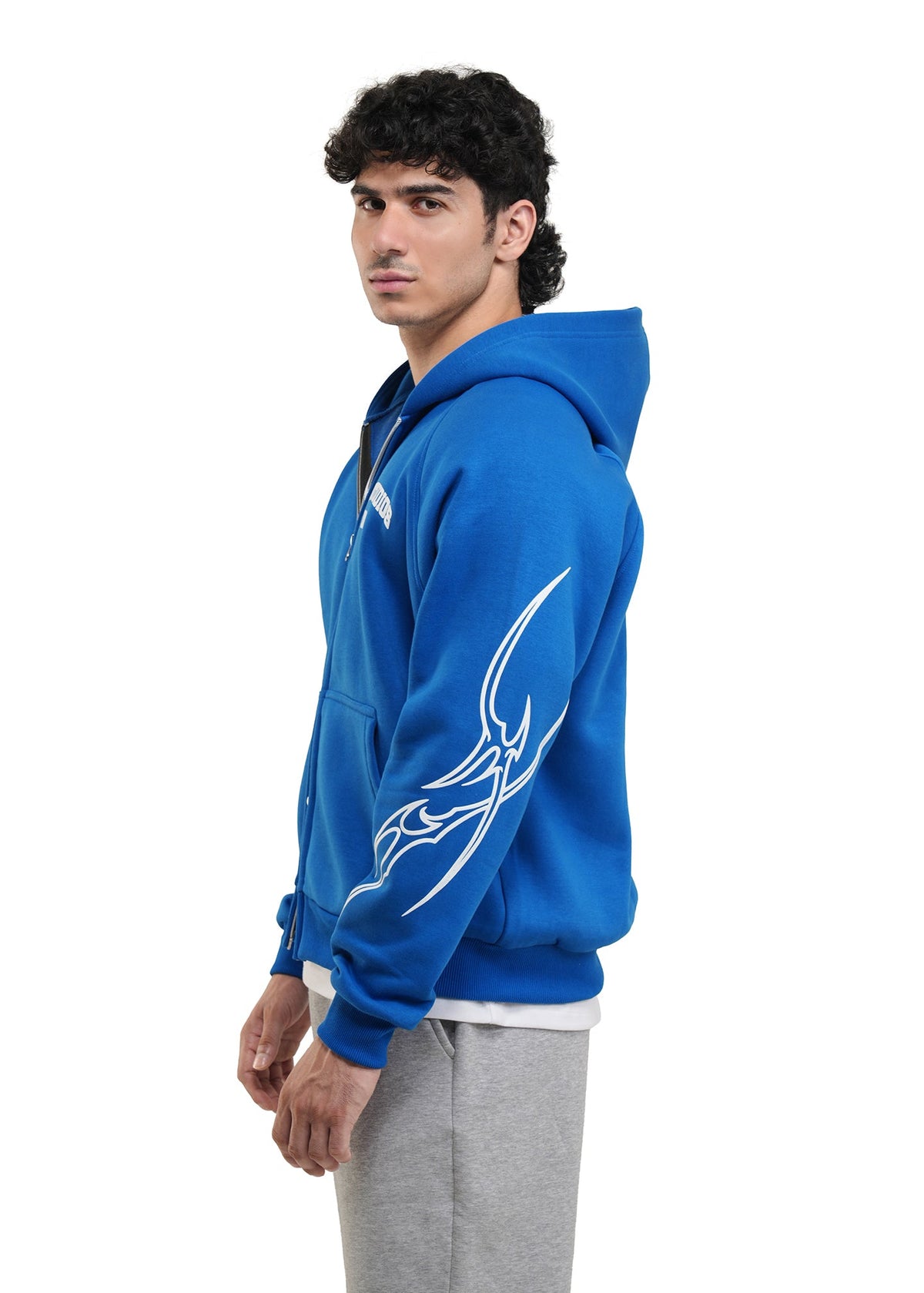 VENI VIDI VICI HOODIE