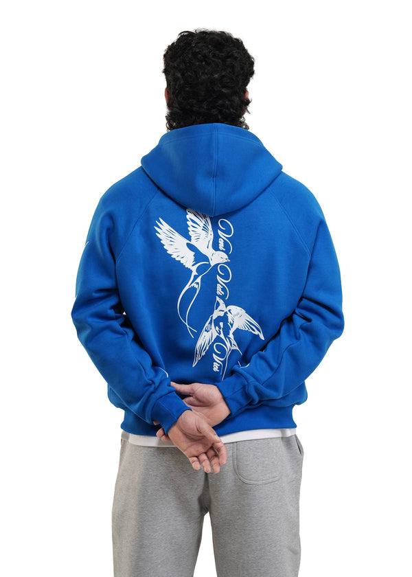 VENI VIDI VICI HOODIE