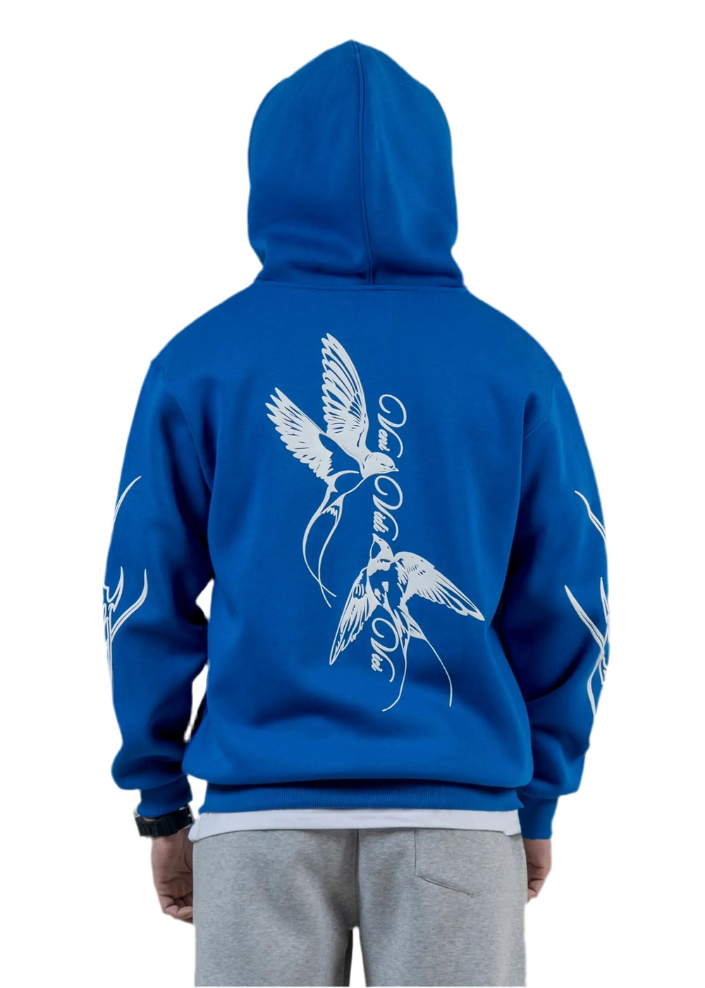 VENI VIDI VICI HOODIE