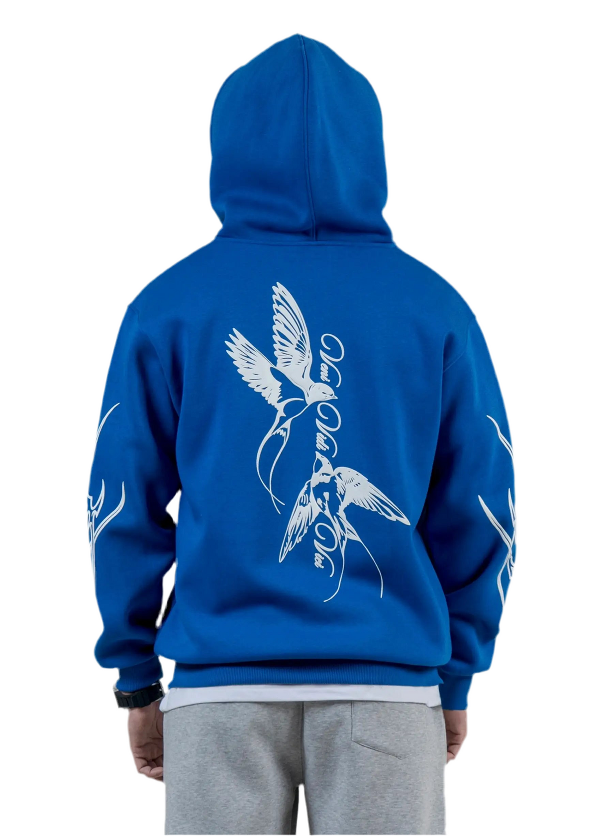 VENI VIDI VICI HOODIE